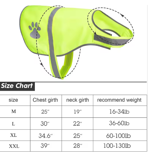 Pet safety vest